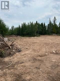 8a Sandy Stream Road, Howley, Newfoundland & Labrador  A0K 3E0 - Photo 11 - 1274895