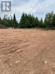 8a Sandy Stream Road, Howley, Newfoundland & Labrador  A0K 3E0 - Photo 13 - 1274895
