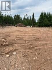 8a Sandy Stream Road, Howley, Newfoundland & Labrador  A0K 3E0 - Photo 14 - 1274895