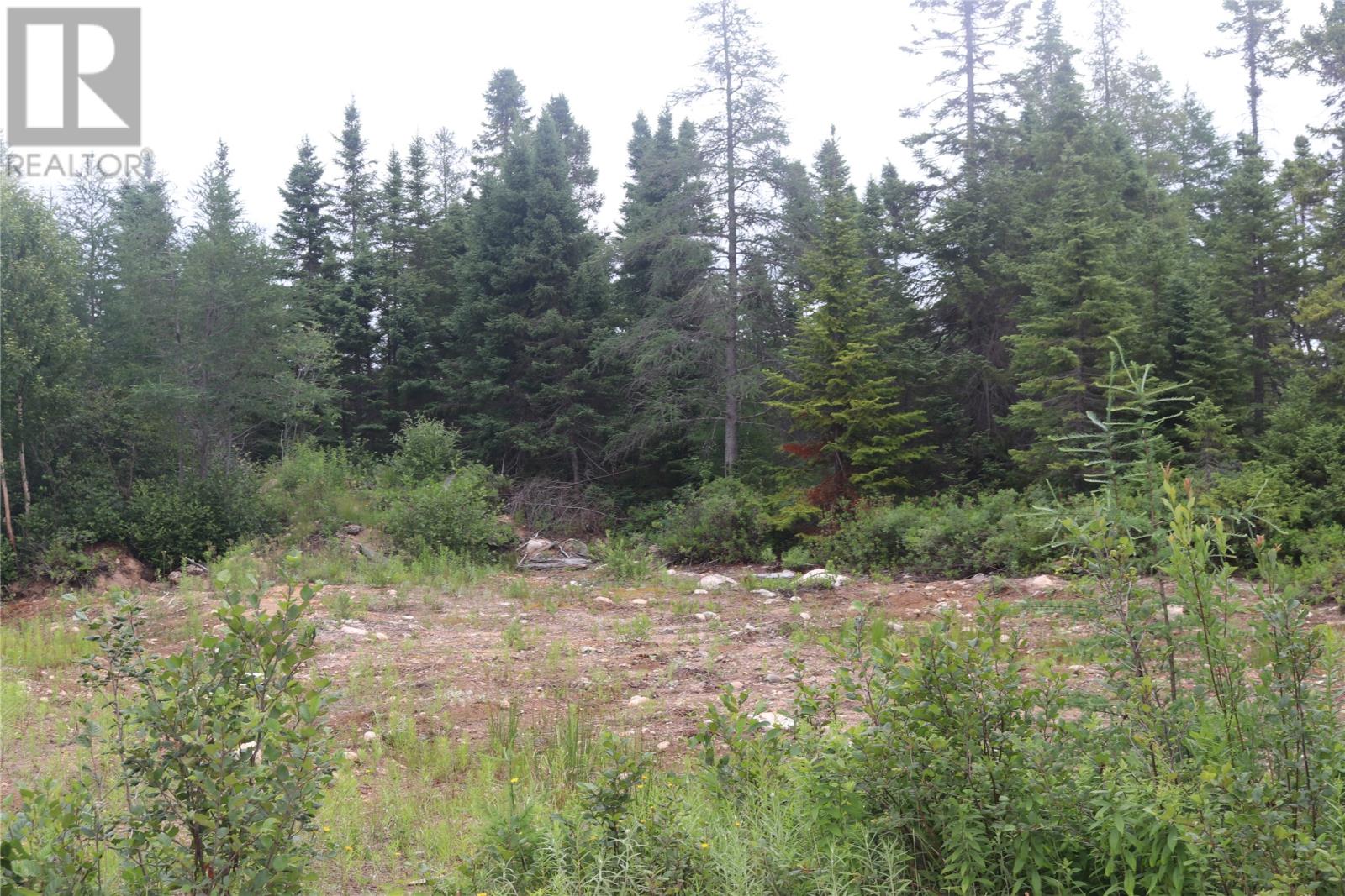 8a Sandy Stream Road, Howley, Newfoundland & Labrador  A0K 3E0 - Photo 6 - 1274895