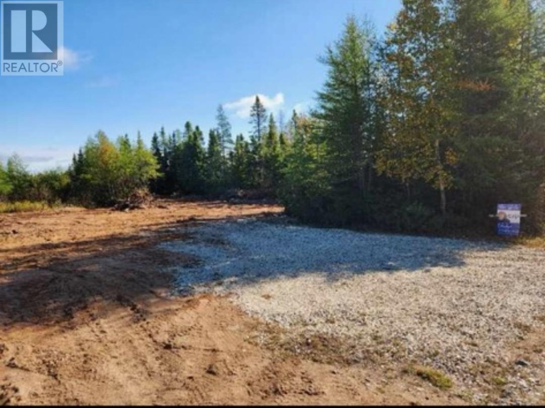 8a Sandy Stream Road, Howley, Newfoundland & Labrador  A0K 3E0 - Photo 8 - 1274895