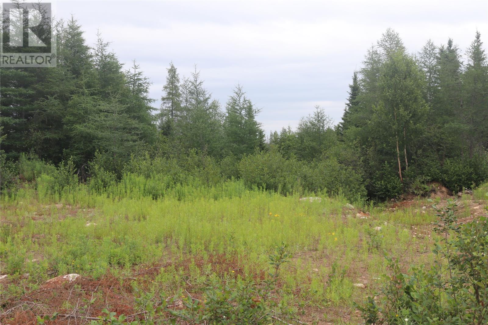 8a Sandy Stream Road, Howley, Newfoundland & Labrador  A0K 3E0 - Photo 5 - 1274895