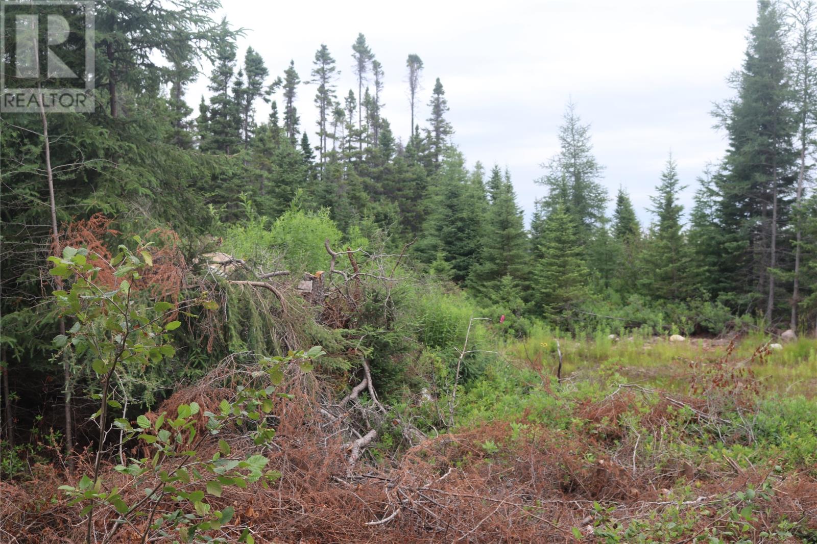 8a Sandy Stream Road, Howley, Newfoundland & Labrador  A0K 3E0 - Photo 4 - 1274895