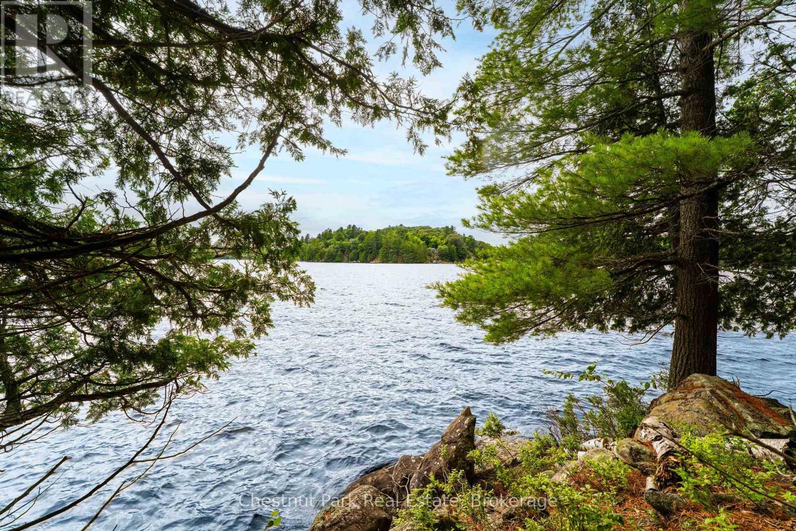 920 Big Island, Huntsville, Ontario P1H 2J2 - Photo 19 - X12318319