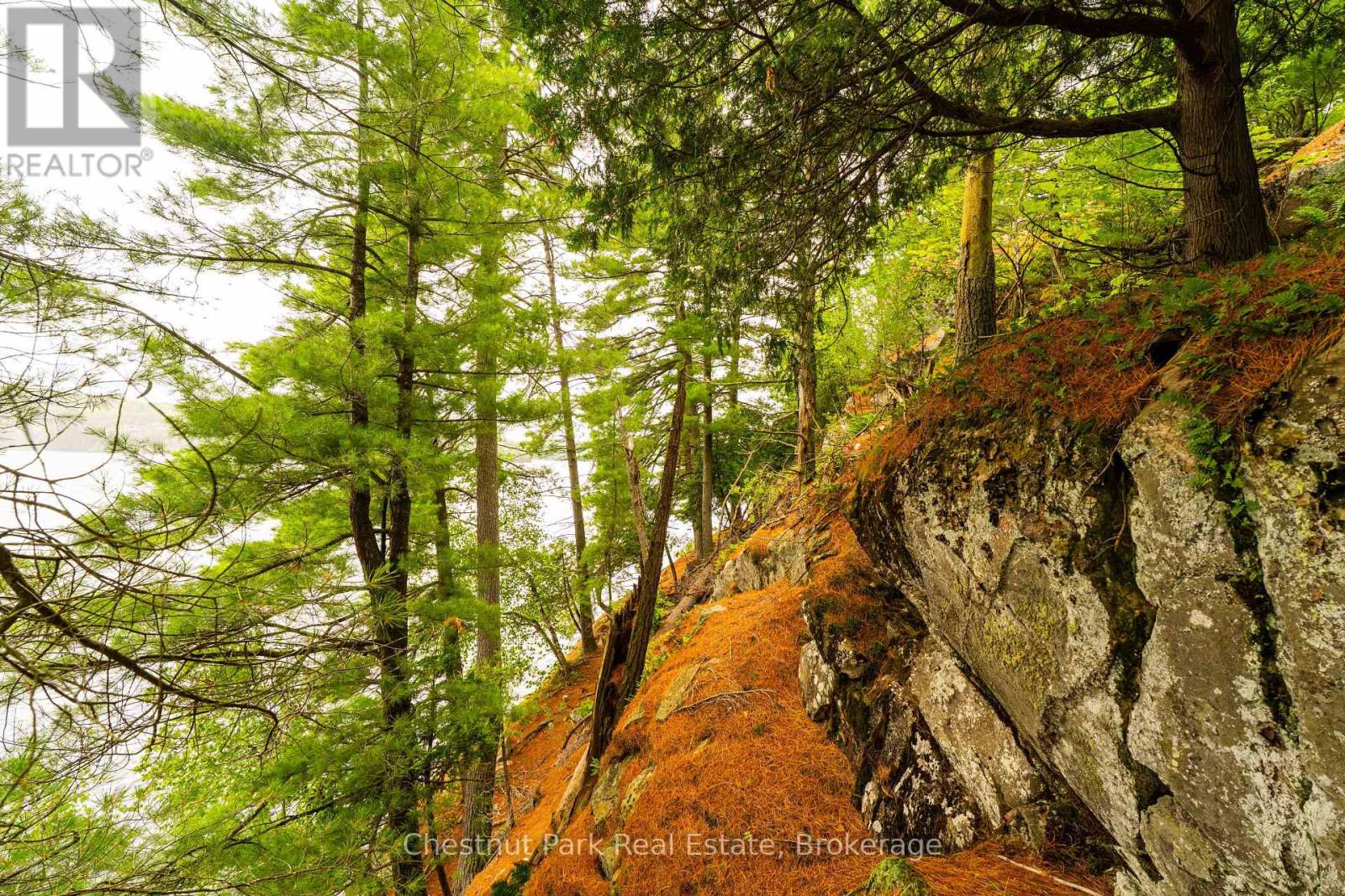 920 Big Island, Huntsville, Ontario P1H 2J2 - Photo 21 - X12318319