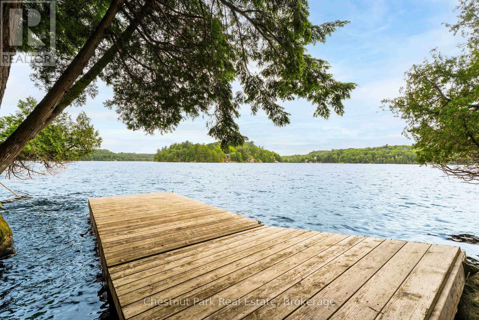 920 Big Island, Huntsville, Ontario P1H 2J2 - Photo 26 - X12318319