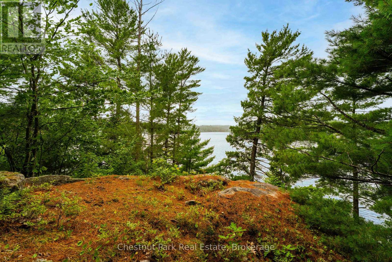 920 Big Island, Huntsville, Ontario P1H 2J2 - Photo 30 - X12318319