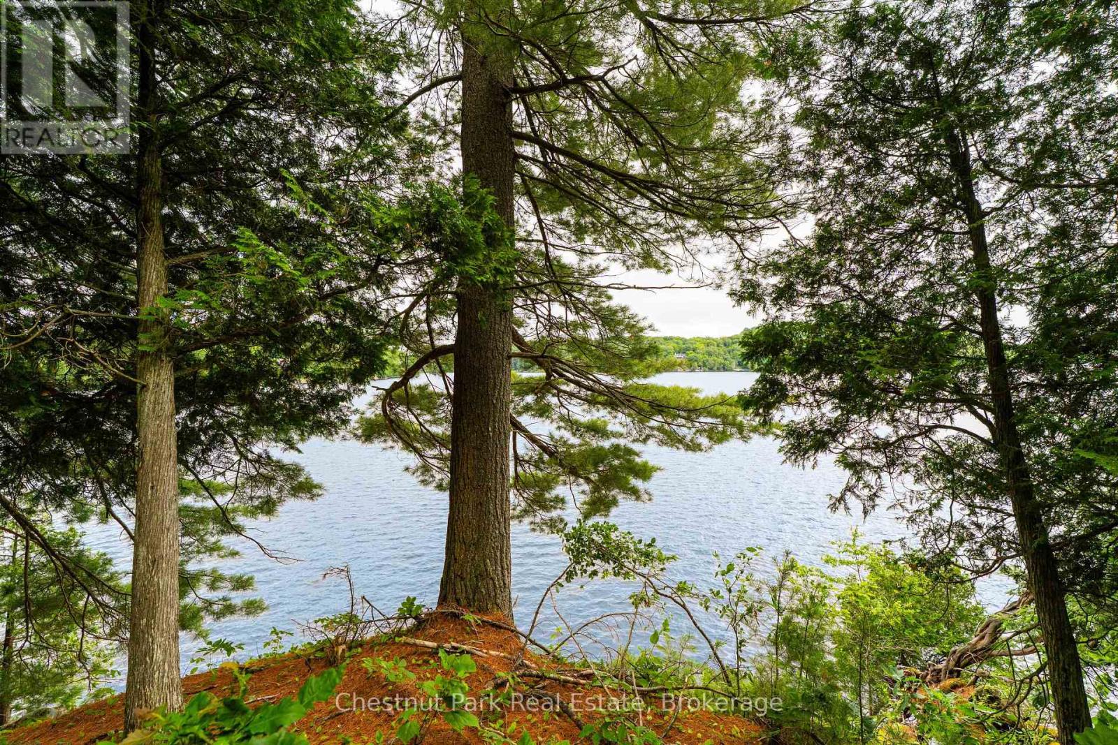 920 Big Island, Huntsville, Ontario P1H 2J2 - Photo 31 - X12318319