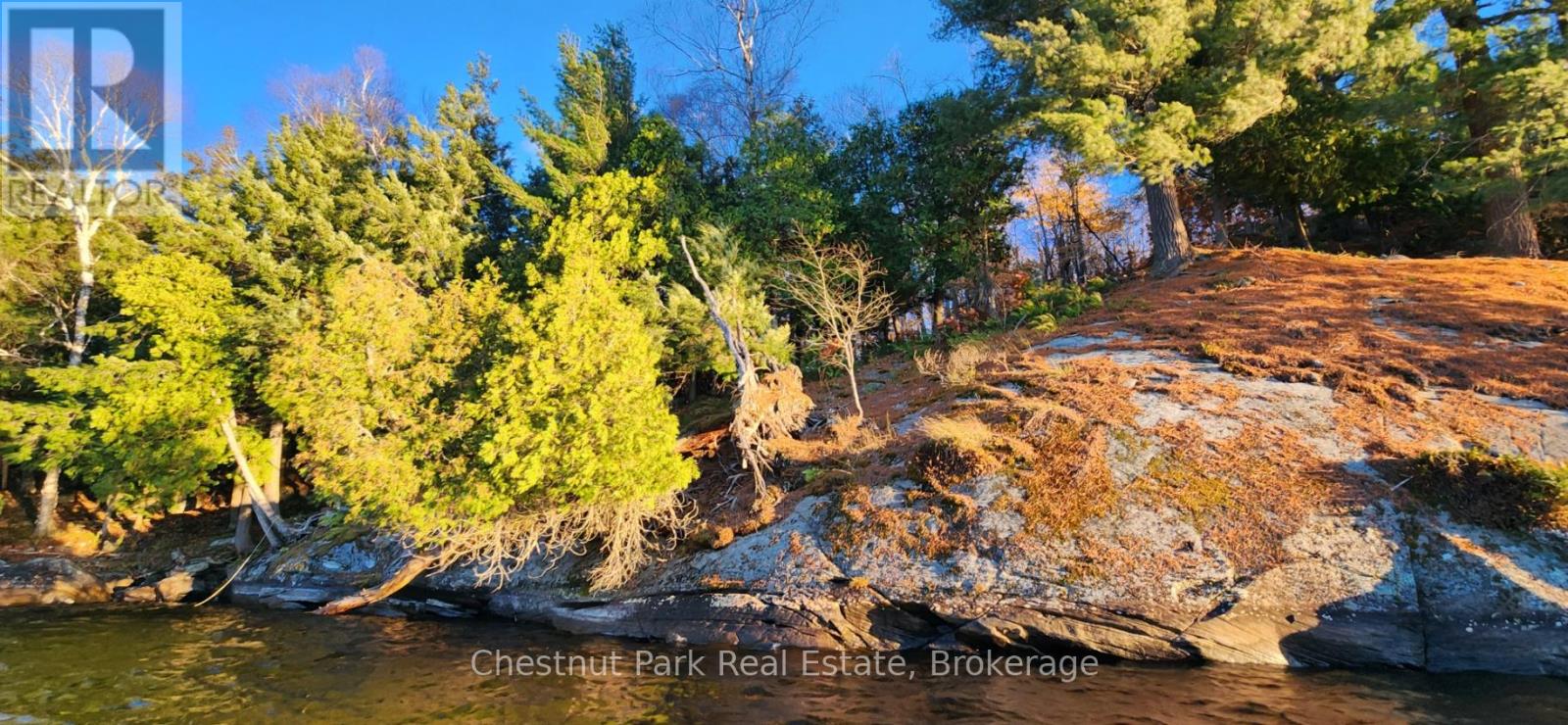 920 Big Island, Huntsville, Ontario P1H 2J2 - Photo 33 - X12318319