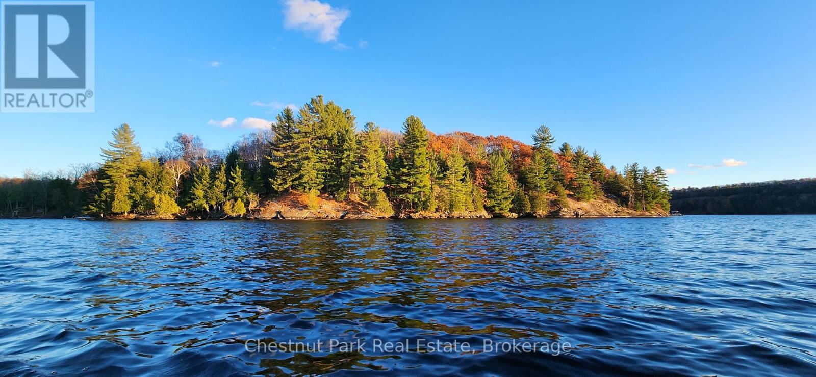 920 Big Island, Huntsville, Ontario P1H 2J2 - Photo 34 - X12318319