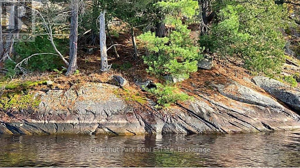 920 Big Island, Huntsville, Ontario P1H 2J2 - Photo 36 - X12318319