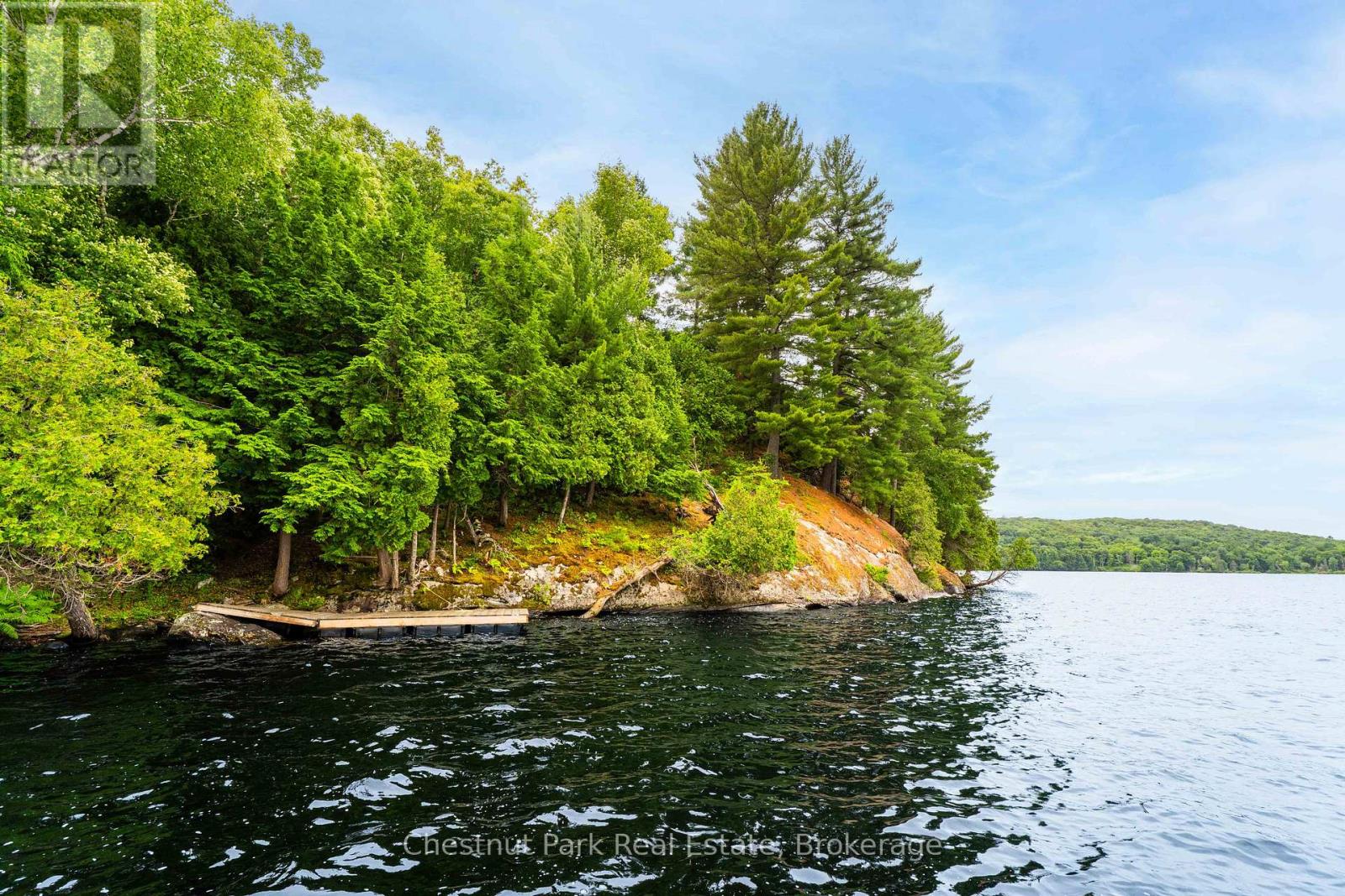 920 Big Island, Huntsville, Ontario P1H 2J2 - Photo 39 - X12318319