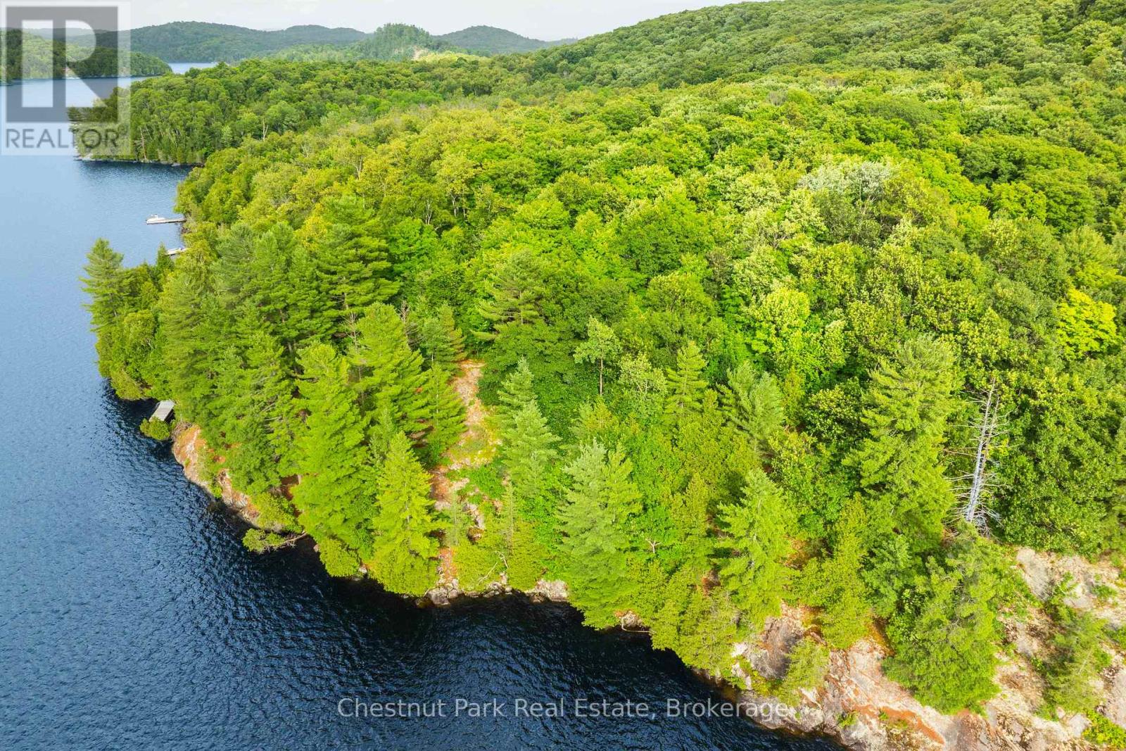 920 Big Island, Huntsville, Ontario P1H 2J2 - Photo 40 - X12318319