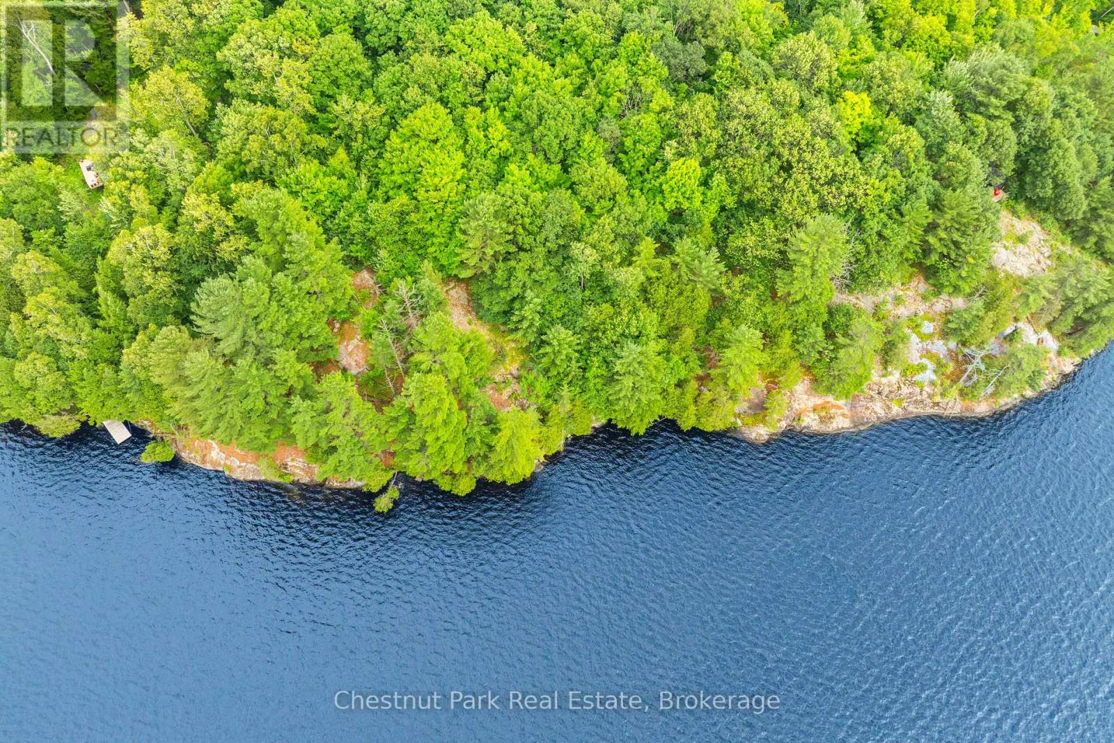 920 Big Island, Huntsville, Ontario P1H 2J2 - Photo 41 - X12318319