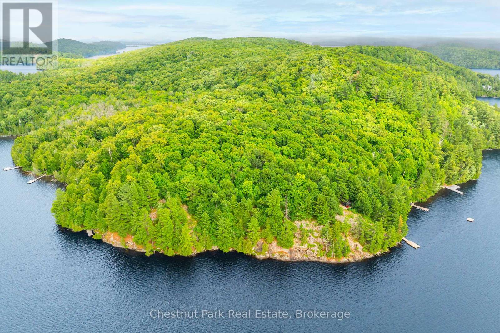 920 Big Island, Huntsville, Ontario P1H 2J2 - Photo 42 - X12318319