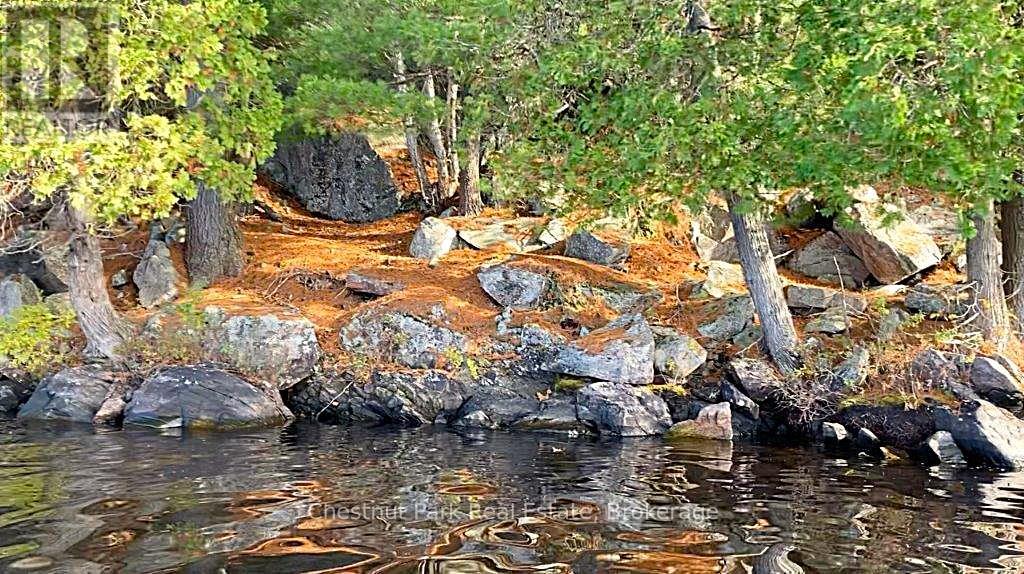 920 Big Island, Huntsville, Ontario P1H 2J2 - Photo 45 - X12318319