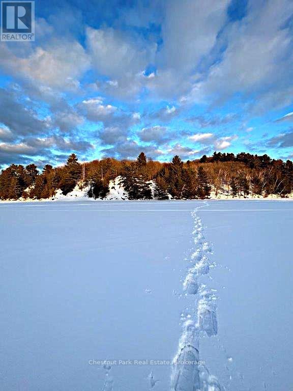 920 Big Island, Huntsville, Ontario P1H 2J2 - Photo 47 - X12318319