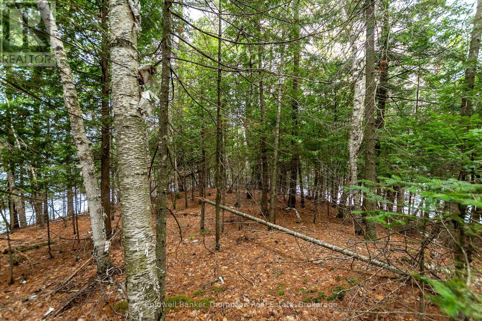 100 & 200 Treasure Island, Huntsville, Ontario  P1H 2J4 - Photo 11 - X12318403
