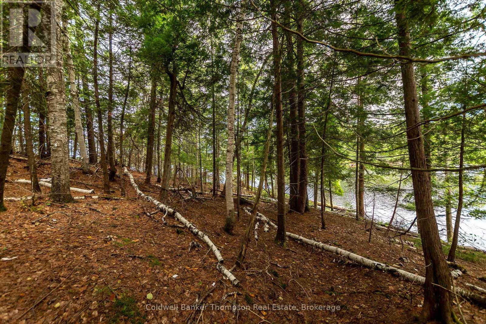 100 & 200 Treasure Island, Huntsville, Ontario  P1H 2J4 - Photo 12 - X12318403
