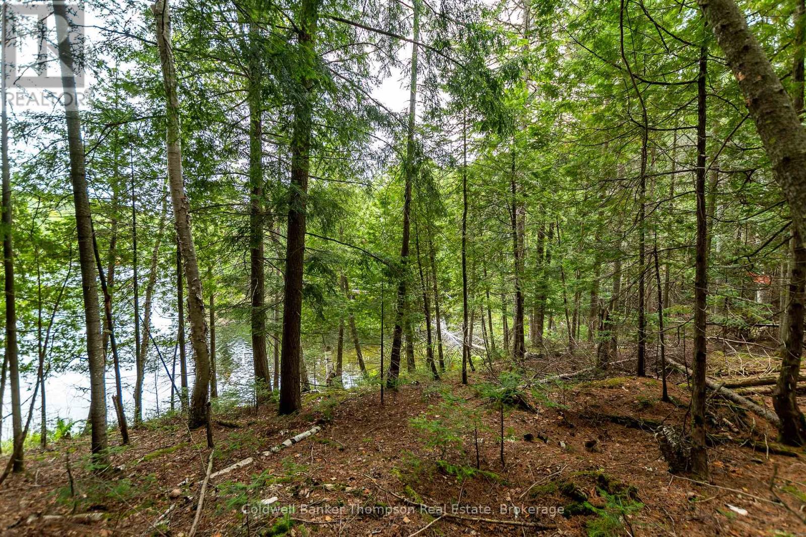 100 & 200 Treasure Island, Huntsville, Ontario  P1H 2J4 - Photo 13 - X12318403