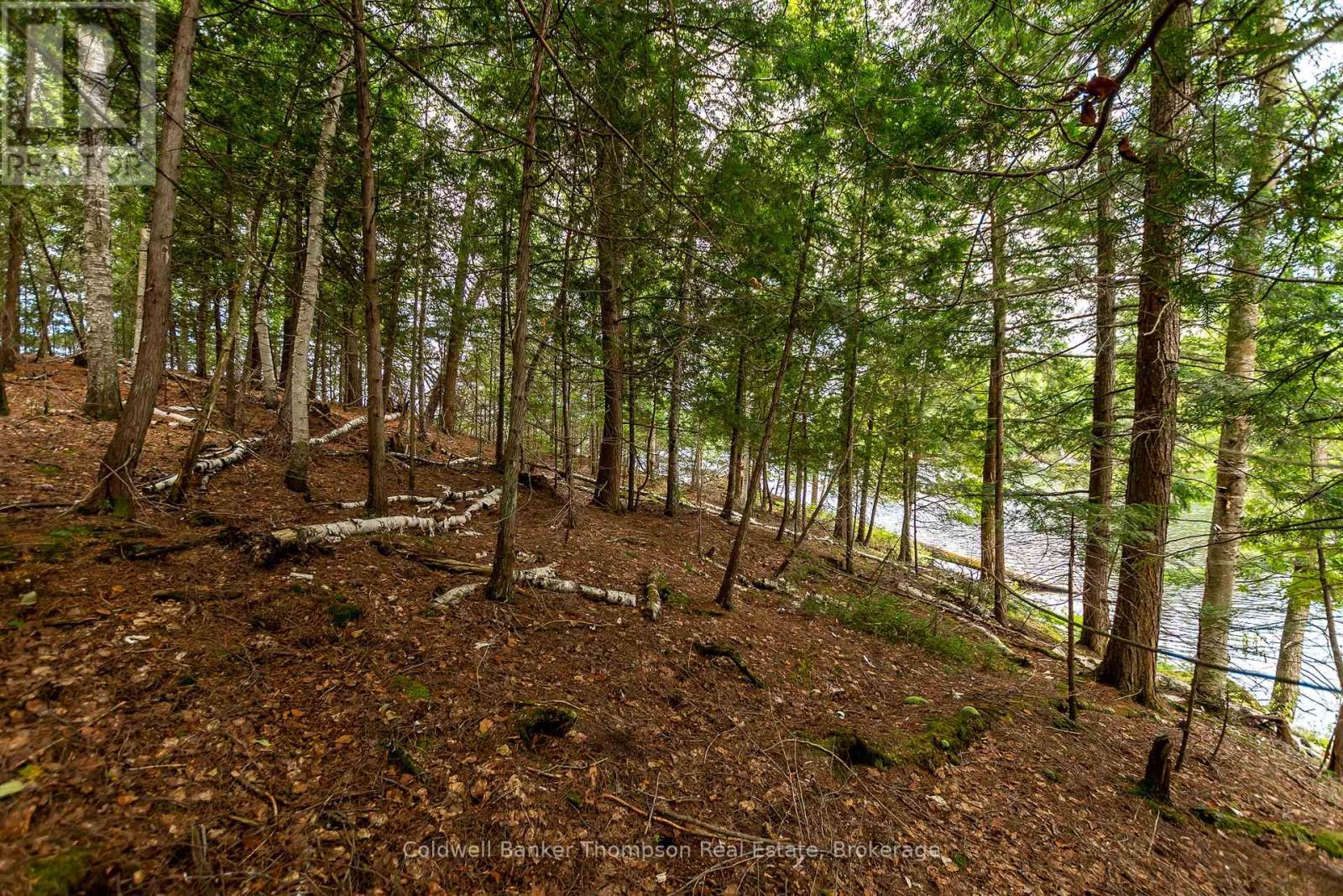 100 & 200 Treasure Island, Huntsville, Ontario  P1H 2J4 - Photo 14 - X12318403