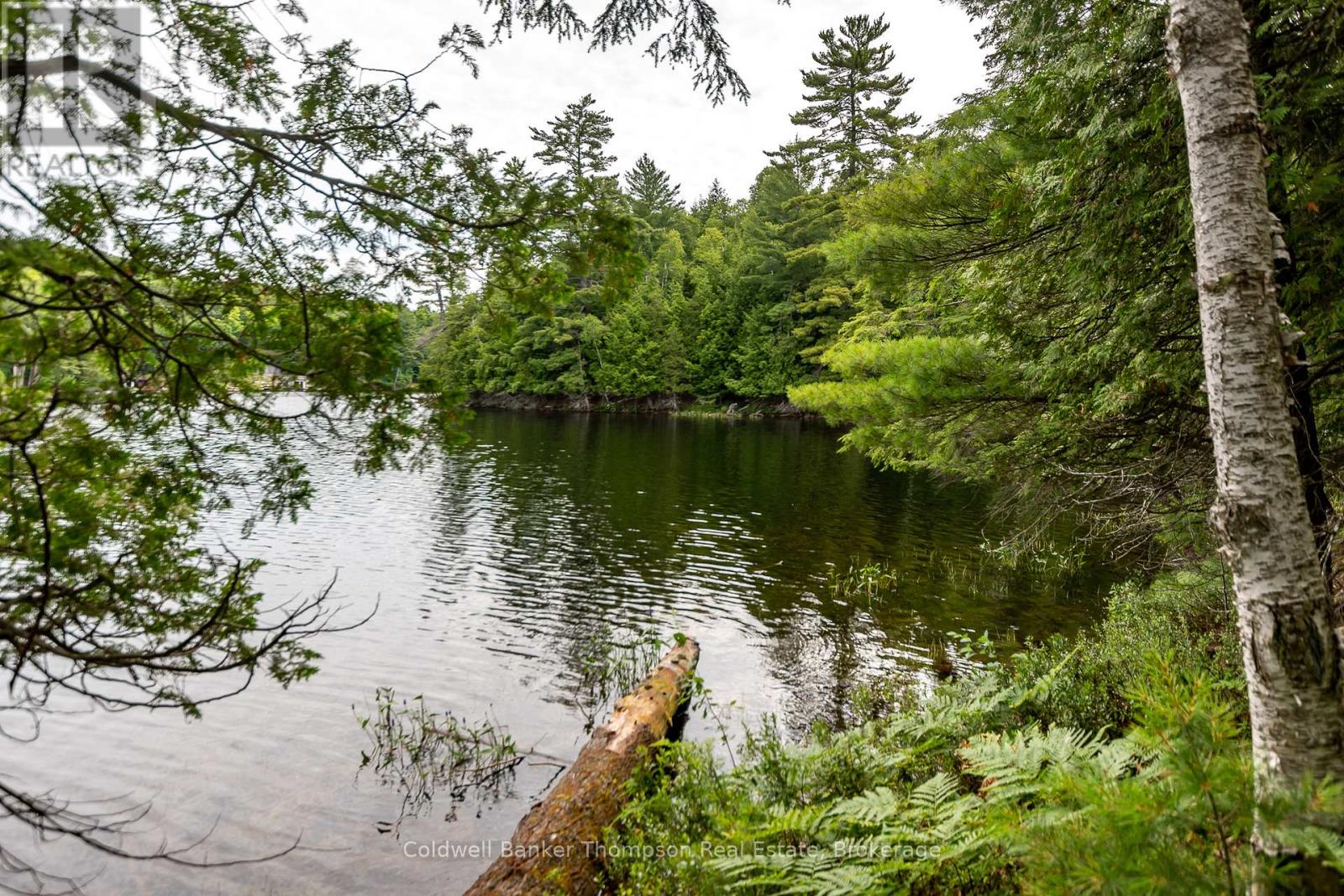 100 & 200 Treasure Island, Huntsville, Ontario  P1H 2J4 - Photo 16 - X12318403