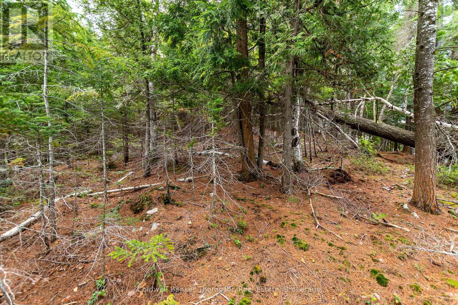 100 & 200 Treasure Island, Huntsville, Ontario  P1H 2J4 - Photo 17 - X12318403