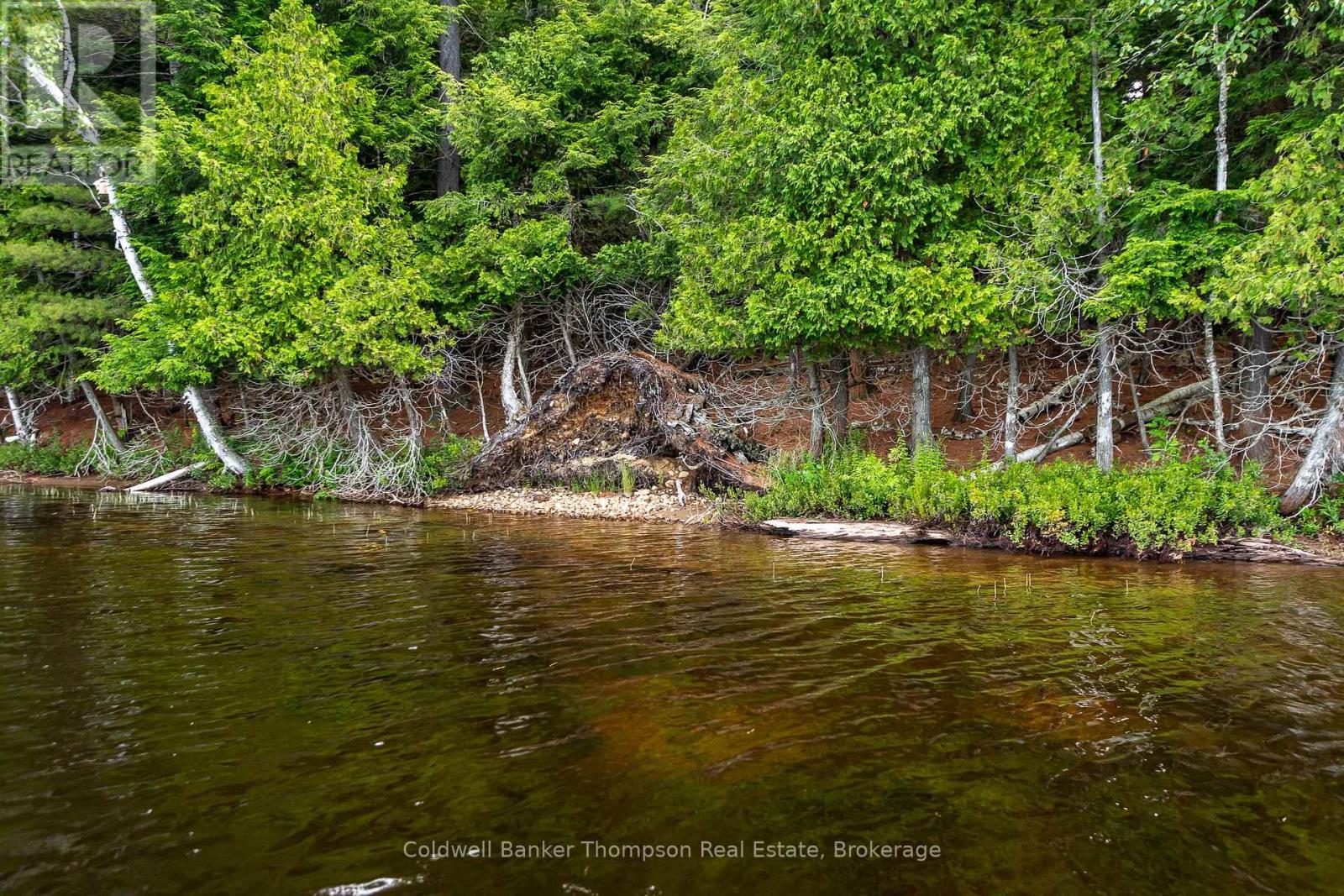 100 & 200 Treasure Island, Huntsville, Ontario  P1H 2J4 - Photo 19 - X12318403
