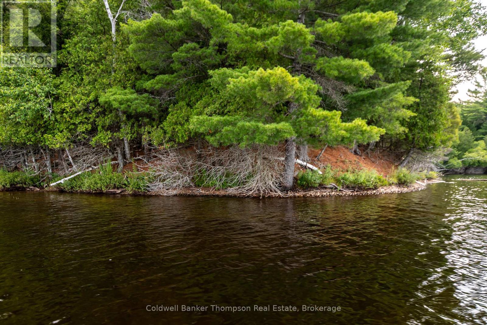 100 & 200 Treasure Island, Huntsville, Ontario  P1H 2J4 - Photo 20 - X12318403