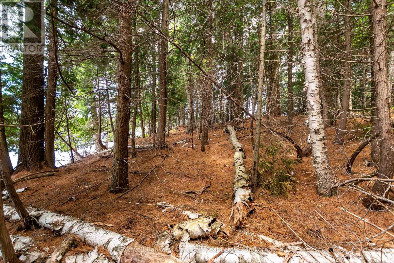 100 & 200 Treasure Island, Huntsville, Ontario  P1H 2J4 - Photo 24 - X12318403