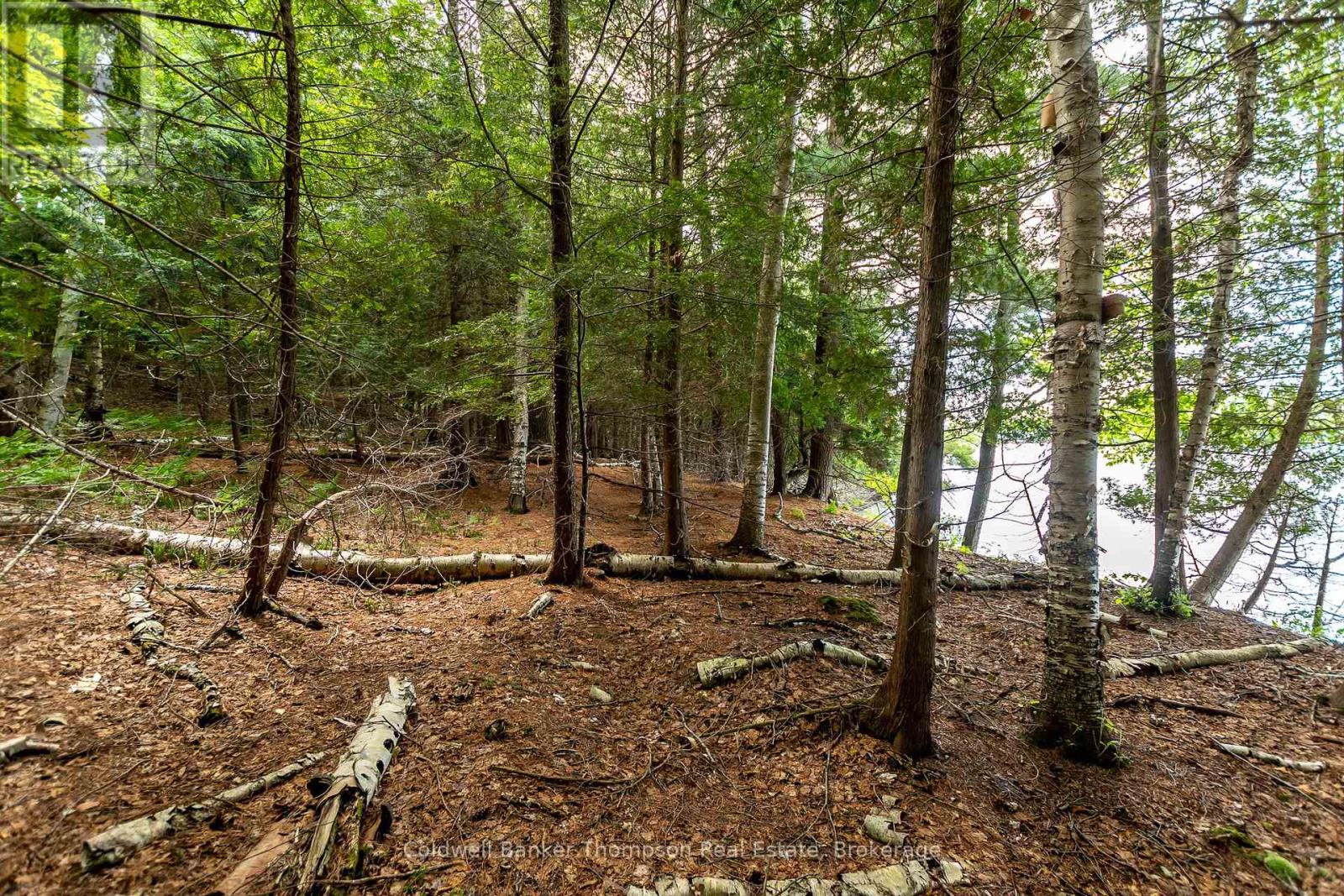 100 & 200 Treasure Island, Huntsville, Ontario  P1H 2J4 - Photo 25 - X12318403