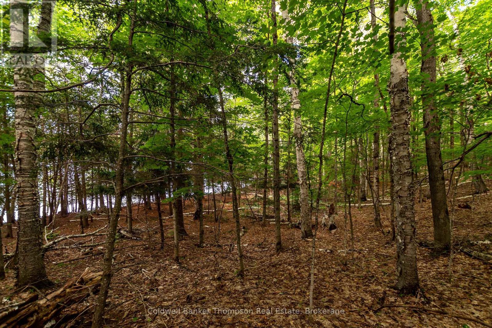 100 & 200 Treasure Island, Huntsville, Ontario  P1H 2J4 - Photo 26 - X12318403