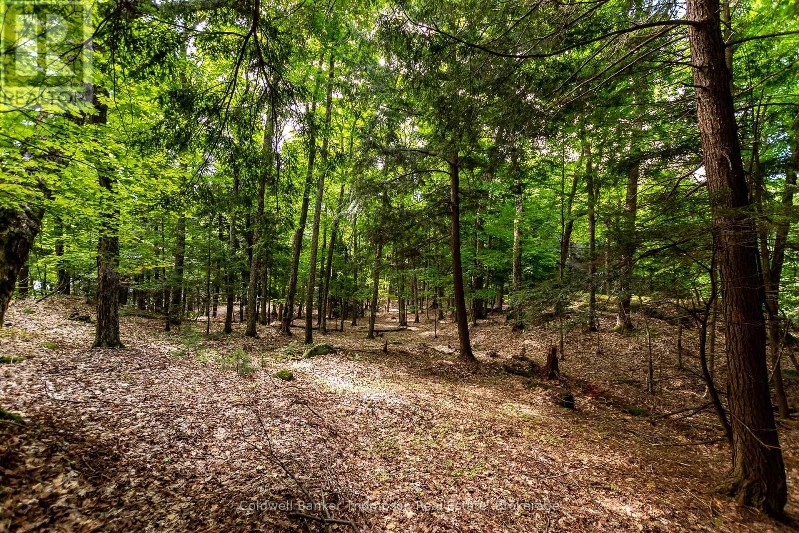 100 & 200 Treasure Island, Huntsville, Ontario  P1H 2J4 - Photo 31 - X12318403