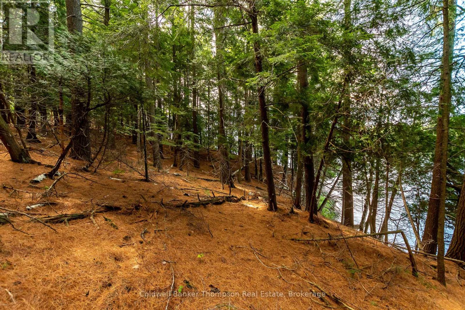 100 & 200 Treasure Island, Huntsville, Ontario  P1H 2J4 - Photo 33 - X12318403