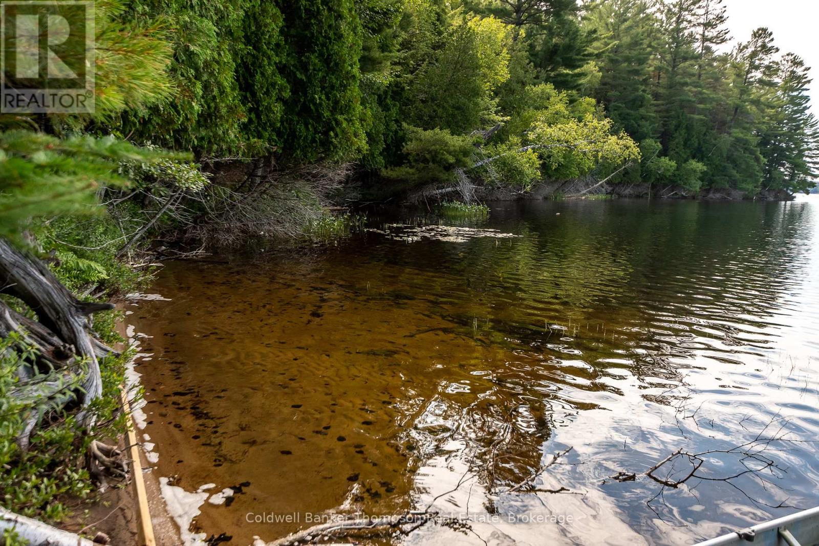100 & 200 Treasure Island, Huntsville, Ontario  P1H 2J4 - Photo 34 - X12318403