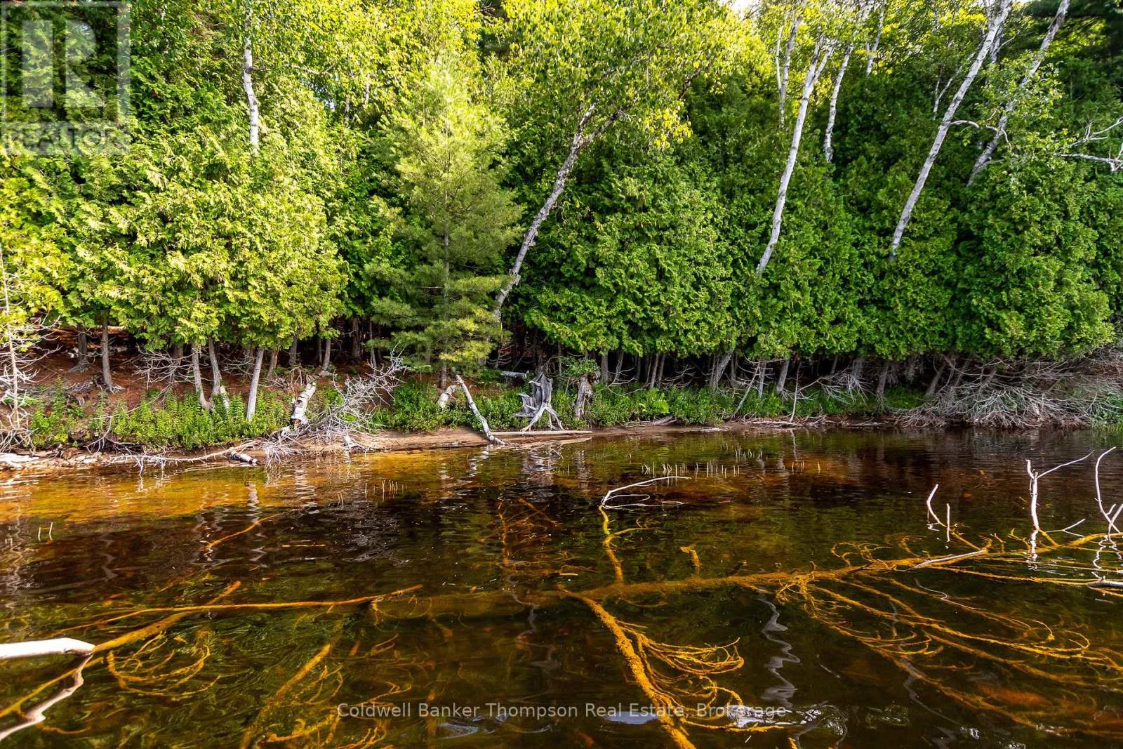 100 & 200 Treasure Island, Huntsville, Ontario  P1H 2J4 - Photo 35 - X12318403