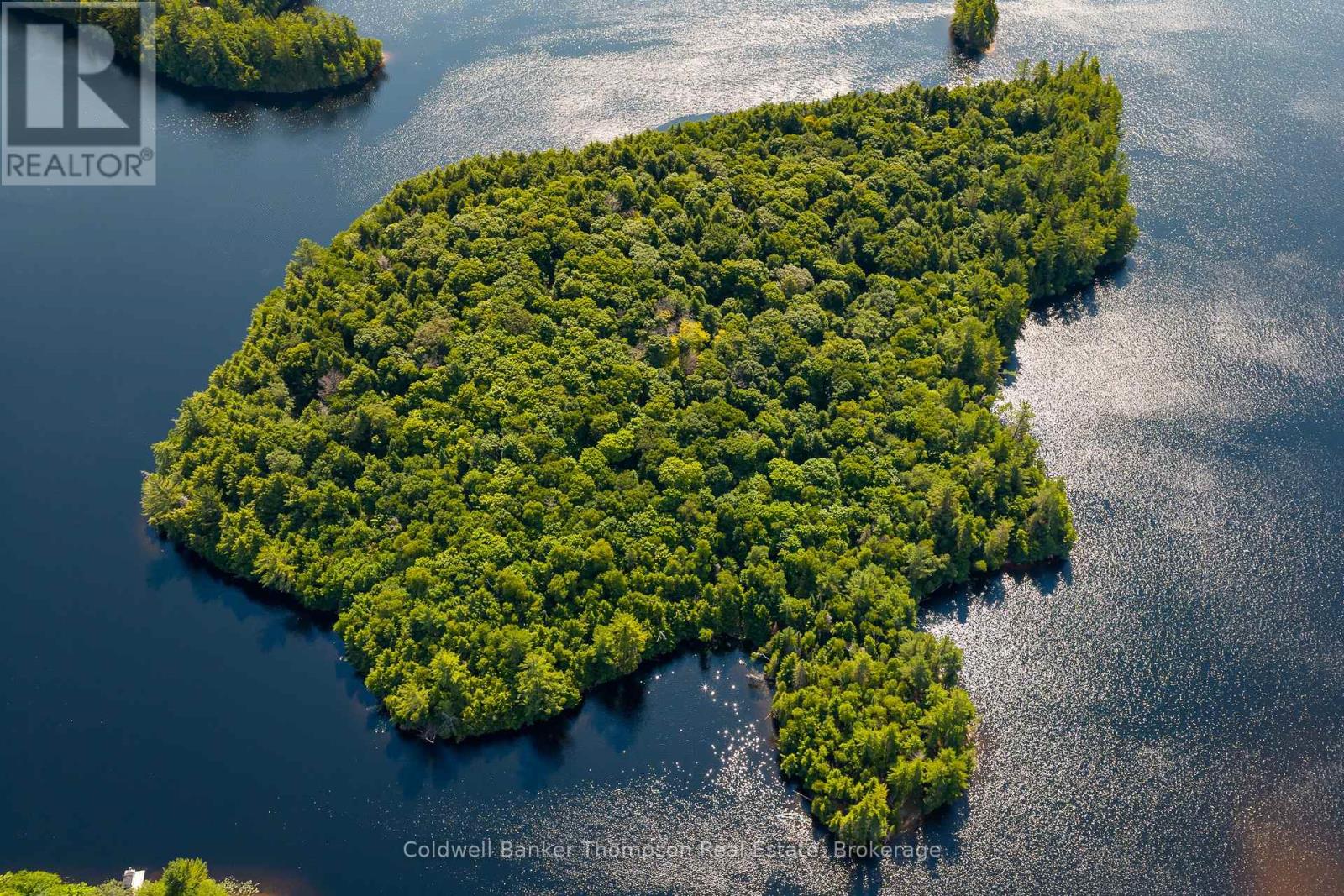100 & 200 Treasure Island, Huntsville, Ontario  P1H 2J4 - Photo 40 - X12318403