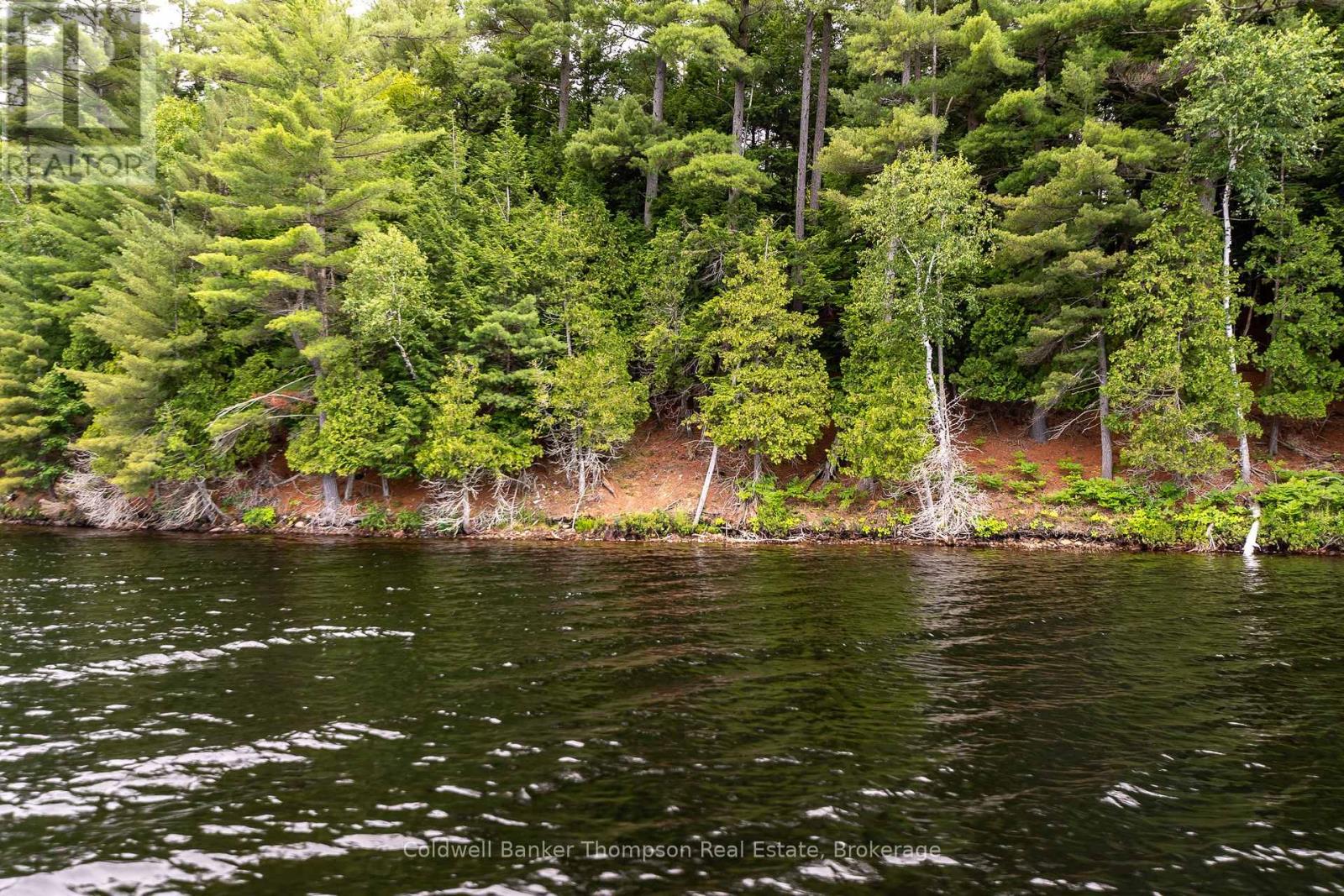 100 & 200 Treasure Island, Huntsville, Ontario  P1H 2J4 - Photo 6 - X12318403