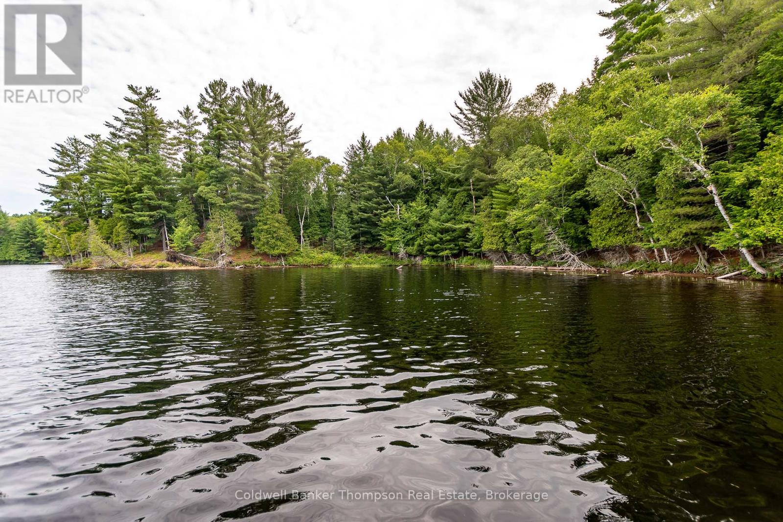 100 & 200 Treasure Island, Huntsville, Ontario  P1H 2J4 - Photo 8 - X12318403