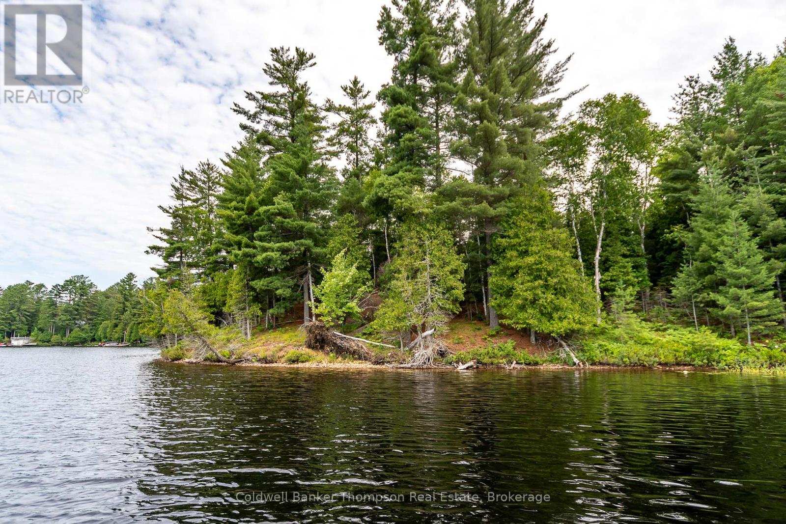 100 & 200 Treasure Island, Huntsville, Ontario  P1H 2J4 - Photo 9 - X12318403