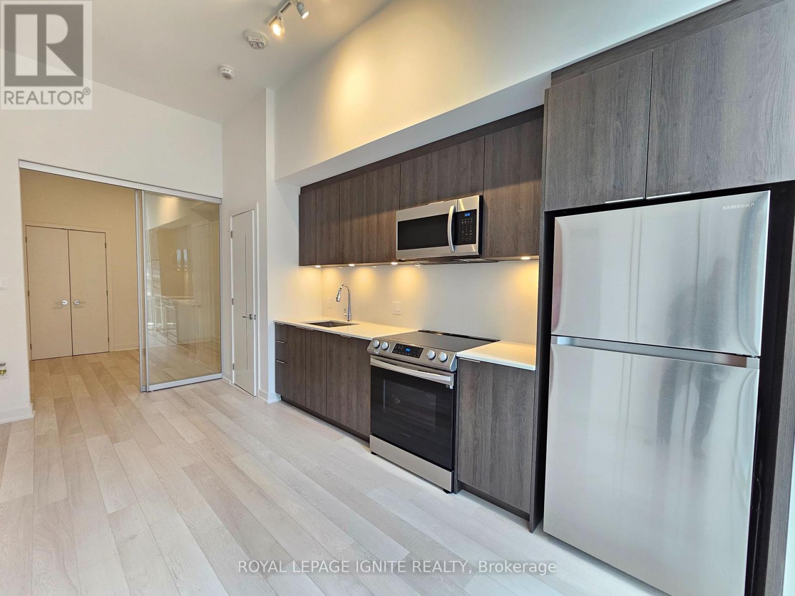 504 - 357 King Street W, Toronto (Waterfront Communities), Ontario  M5V 0S7 - Photo 5 - C12318395