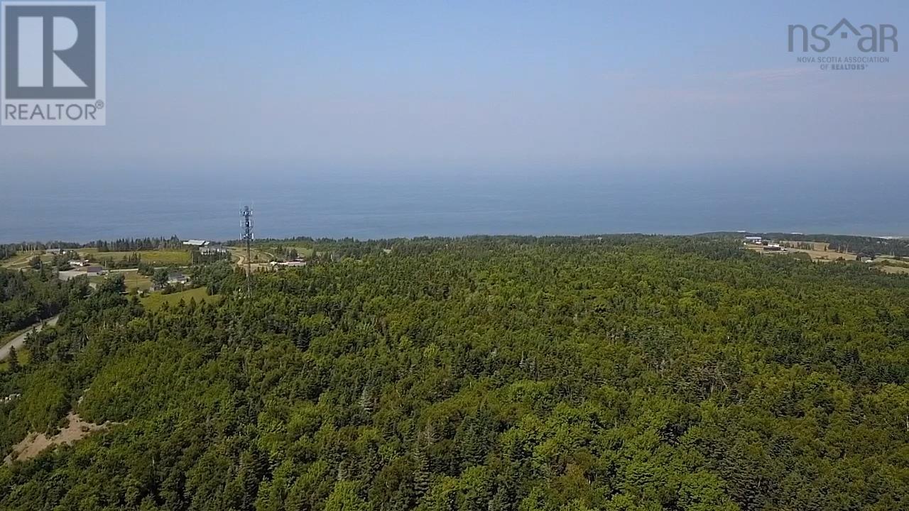 760 Foot Cape Road, Inverness, Nova Scotia  B0E 1N0 - Photo 17 - 202519300