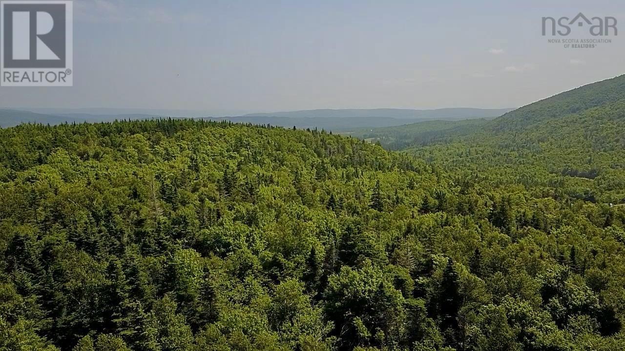 760 Foot Cape Road, Inverness, Nova Scotia  B0E 1N0 - Photo 24 - 202519300