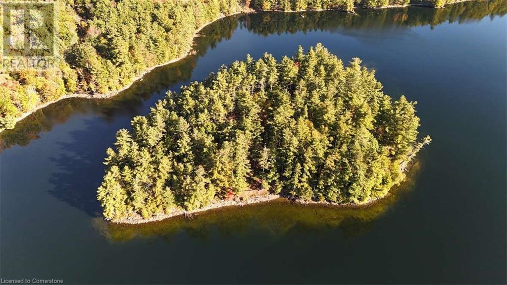 100 Kilgore Island, Cloyne, Ontario  K0H 1K0 - Photo 1 - 40659368