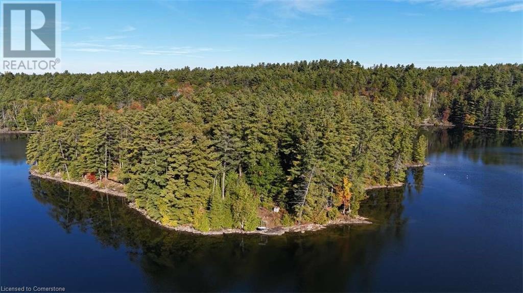 100 Kilgore Island, Cloyne, Ontario  K0H 1K0 - Photo 4 - 40659368