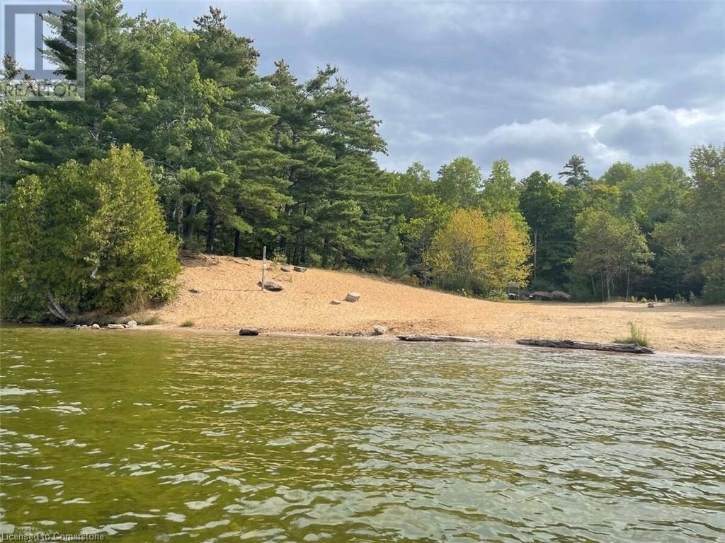 100 Kilgore Island, Cloyne, Ontario  K0H 1K0 - Photo 5 - 40659368