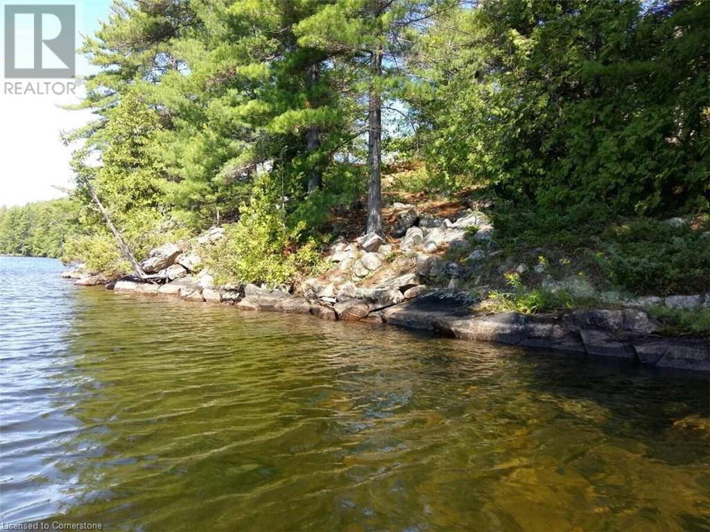 100 Kilgore Island, Cloyne, Ontario  K0H 1K0 - Photo 13 - 40659368
