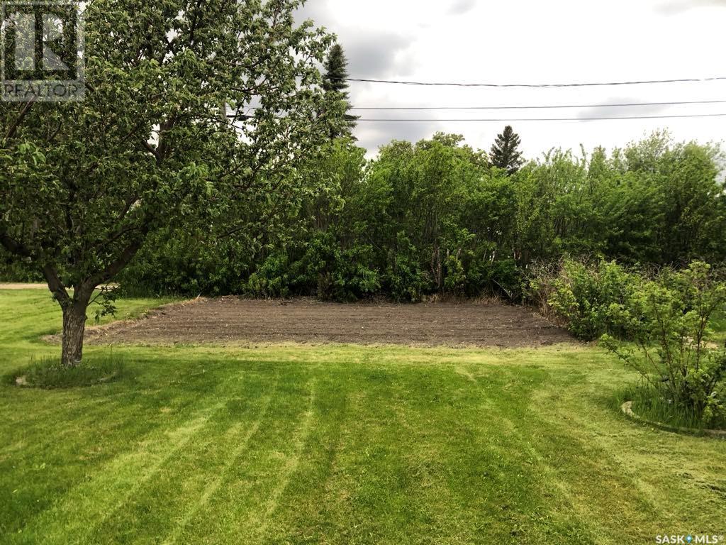 404 Stanley Street, Stoughton, Saskatchewan  S0G 4T0 - Photo 3 - SK013929