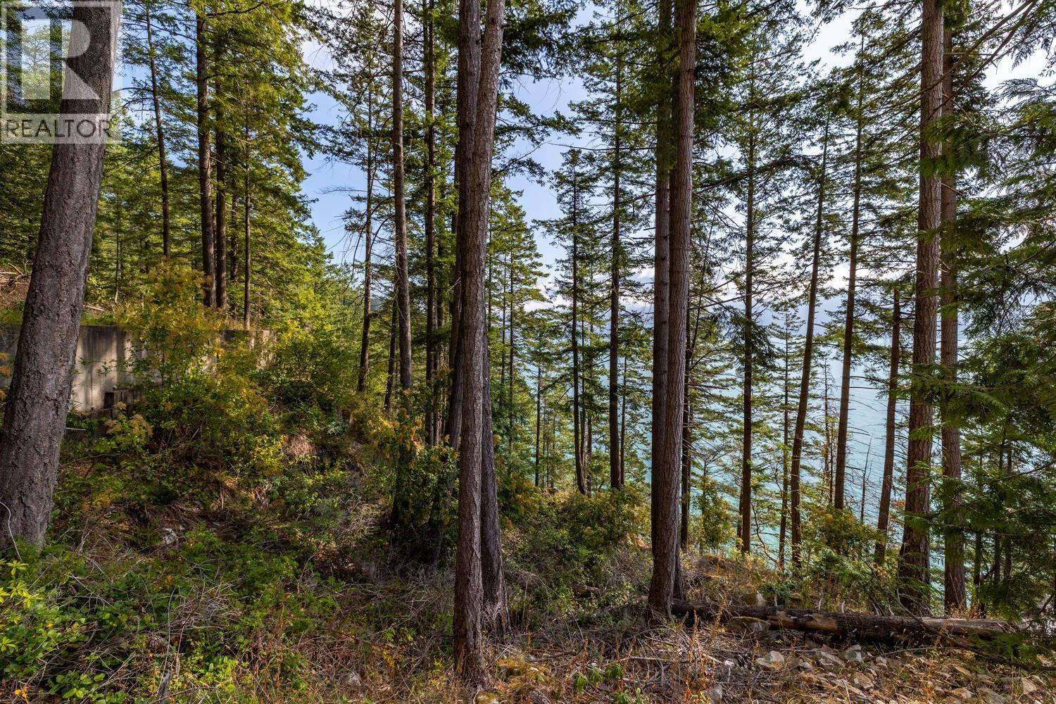 1345 Catalina Road, Bowen Island, British Columbia  V0N 1G1 - Photo 10 - R3032677