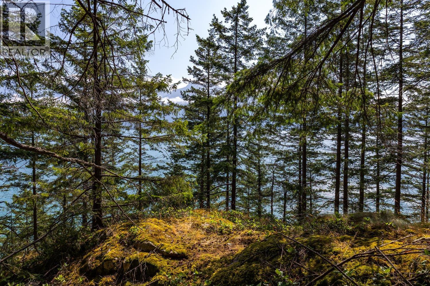 1345 Catalina Road, Bowen Island, British Columbia  V0N 1G1 - Photo 11 - R3032677